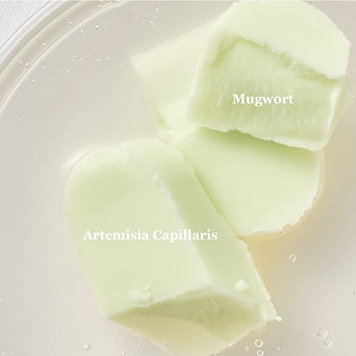 BEAUTY of JOSEON - Matte Sun Stick : Mugwort + Camelia SPF50 PA++++ - 18g