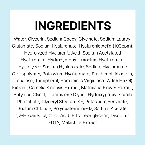 TORRIDEN Dive-in Low Molecular Hyaluronic Acid Cleansing Foam (150ml)