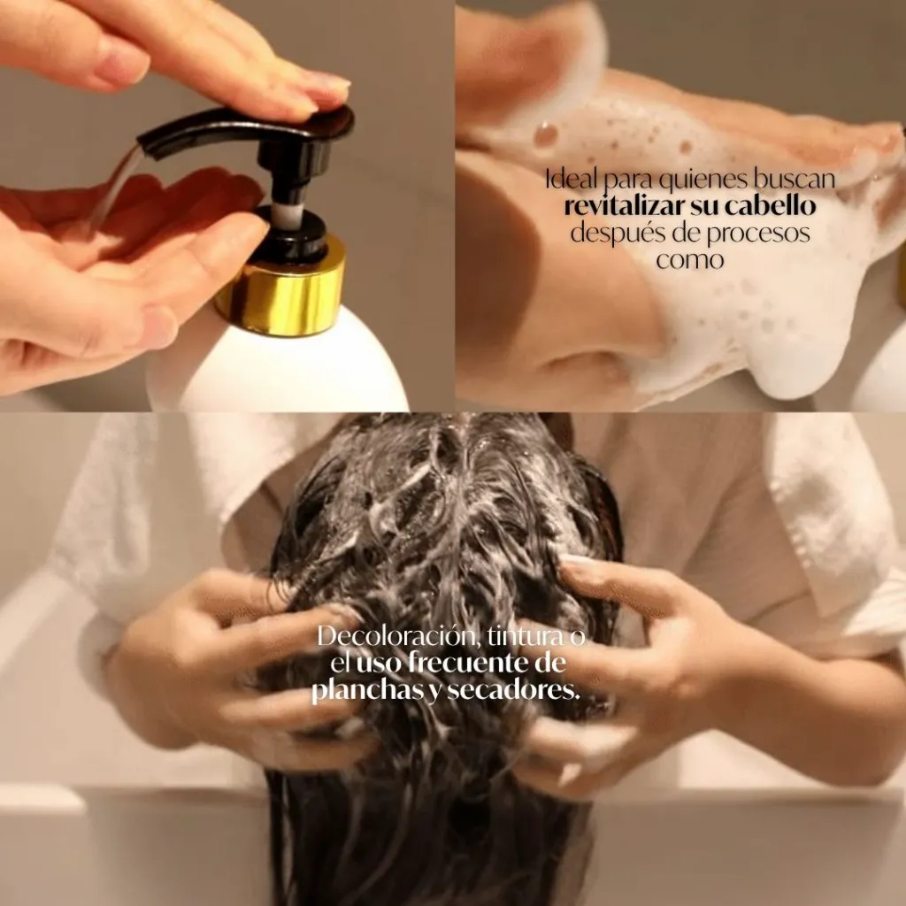 ELI000401_CER-100-Collagen-Coating-Hair-A-Muscle-Shampoo_0005.webp