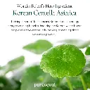 PURITO-SEOUL-Wonder-Releaf-Centella-Line-Unscented-Korean-Centella-PURESEOUL-UK-KBeauty-Shop-0_4ea27934-8b01-467e-be50-1ef69c673d3a_1800x1800.webp